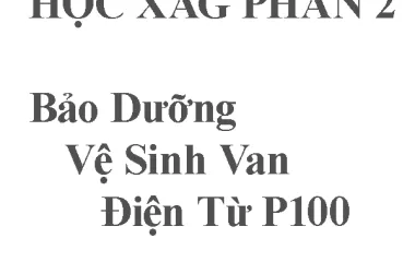 Phần 2: Bảo Dưỡng Vệ Sinh Van Điện Từ P100